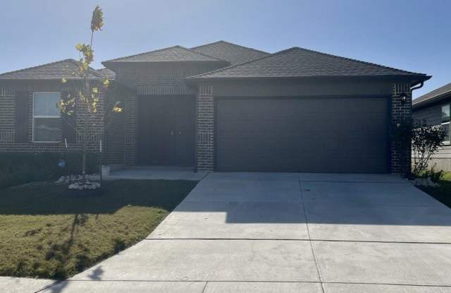 852 Armadillo photos photos