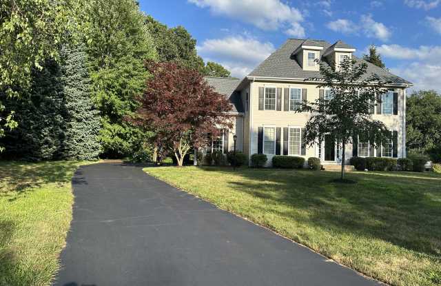 41 Buckingham Rd photos photos