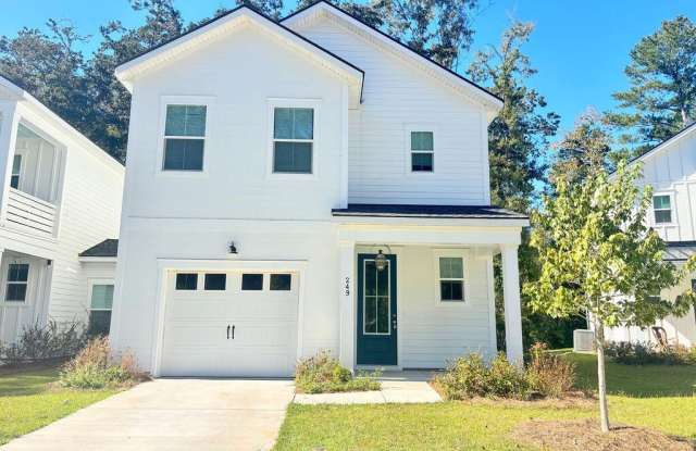 249 Claret Cup Way - 249 Claret Cup Way, Charleston, SC 29414