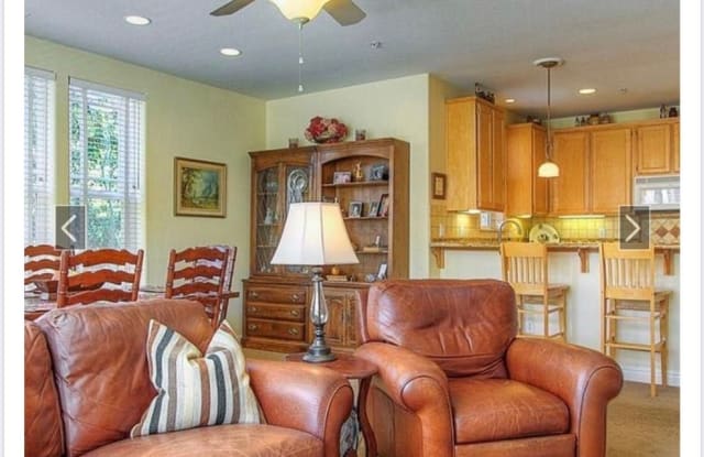1041 McClelland Dr. - 1041 Mcclelland Drive, Windsor, CA 95492