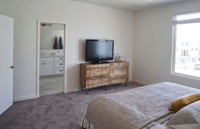 Novella at Biltmore Homes for Rent Gallery 2