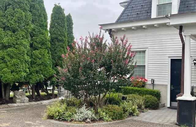 892 Elberon Avenue unit: Studio photos photos