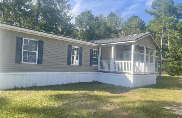 1450 Patterson Drive - 1450 Patterson Drive, Effingham County, GA 31312