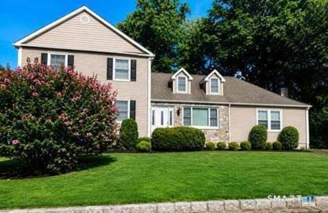 56 Maitland Road photos photos