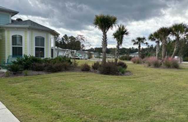Welcome to Margaritaville 55 + Community Gallery 3