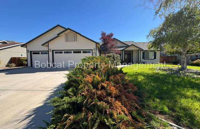 2963 Hot Springs Dr - 2963 Hot Springs Drive, Johnson Lane, NV 89423