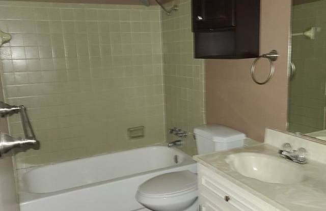 3218 Canyon Creek Dr Gallery 4