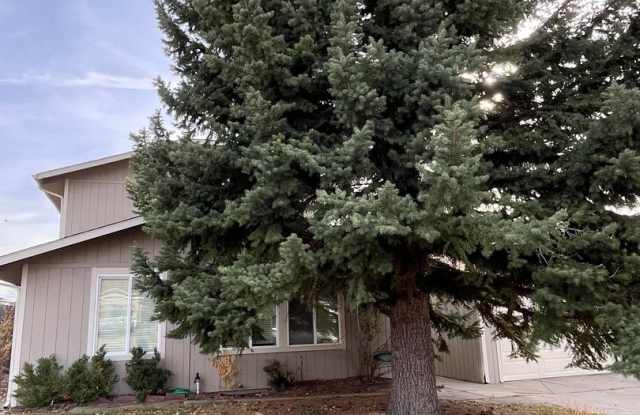 Lovely 3 bed, 2 bath Longmont home - AVAILABLE 11/15 - 905 Pasque Drive, Longmont, CO 80504