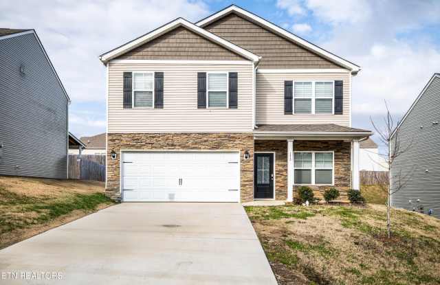 173 Ashe Ave photos photos 173 Ashe Ave photos photos