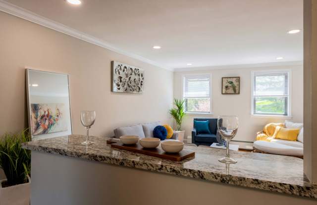 Englewood Village Gallery 4