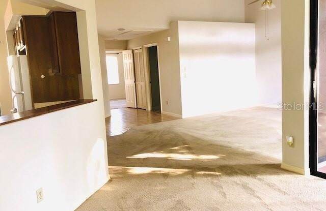 1263 LAKE WILLISARA CIRCLE Gallery 4
