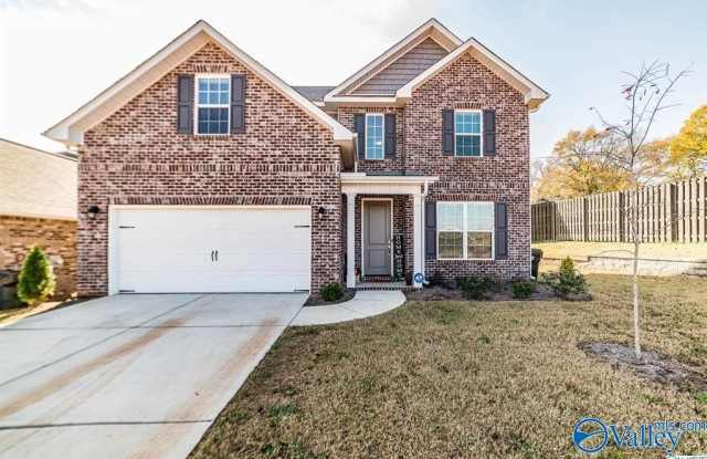 108 Erskin Parcus Circle - 108 Erskin Parcus Drive, Madison County, AL 35756