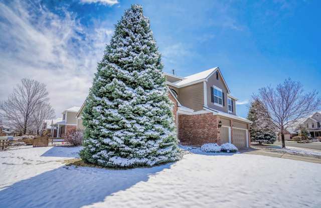 2383 Indian Paintbrush Cir Gallery 3