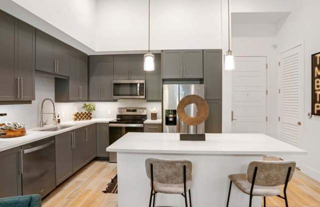 Palmera photos photos