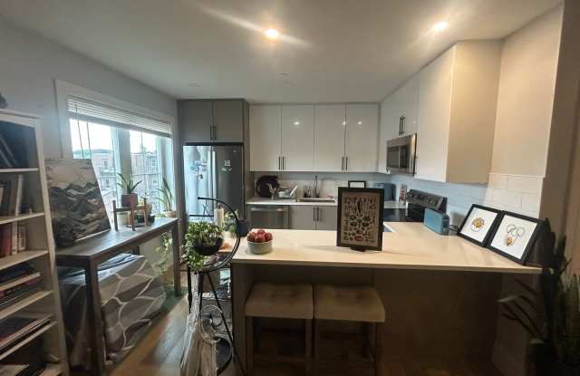 No Broker Fee | Bright 1 Bed in Brighton | Available 9/1 Gallery 3