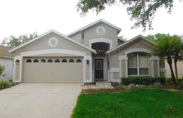 10127 Heather Sound Dr - 10127 Heather Sound Drive, Tampa, FL 33647