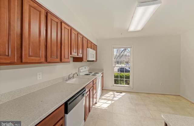 11950 BARGATE CT #11950 Gallery 3