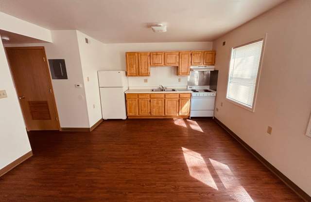 One Bedroom Apartment For Rent Gallery 4