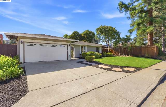 25 Tareyton Ct Gallery 3