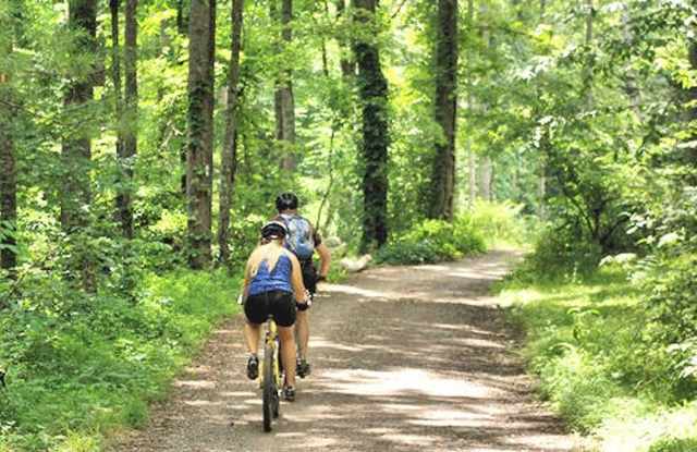 South AVL - Spacious 1/1 Apt with Sunroom! photos photos