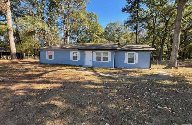 159 County Road 1230 - 159 County Road 1230, Bowie County, TX 75501