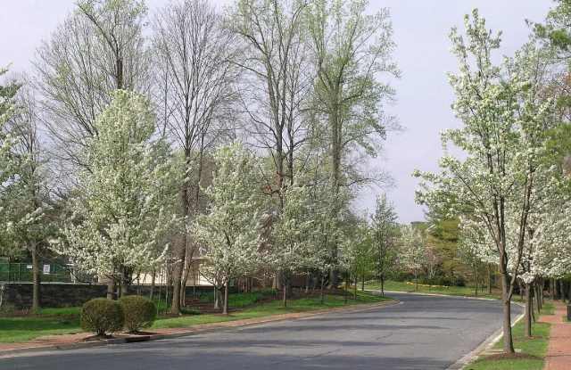 10706 Kings Riding Way Gallery 2