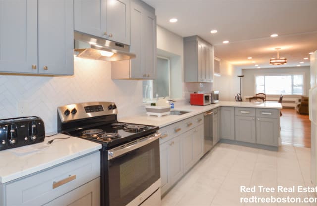 142 Salisbury Road - 142 Salisbury Road, Brookline, MA 02445