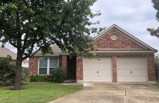 346 Fall Dr. - 346 Fall Drive, Kyle, TX 78640