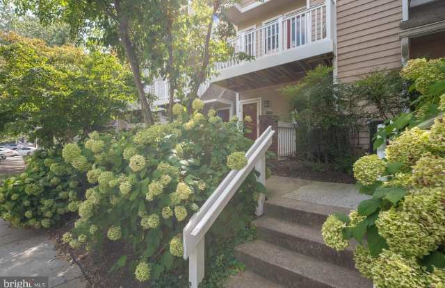 5705 CHAPMAN MILL Drive Gallery 3