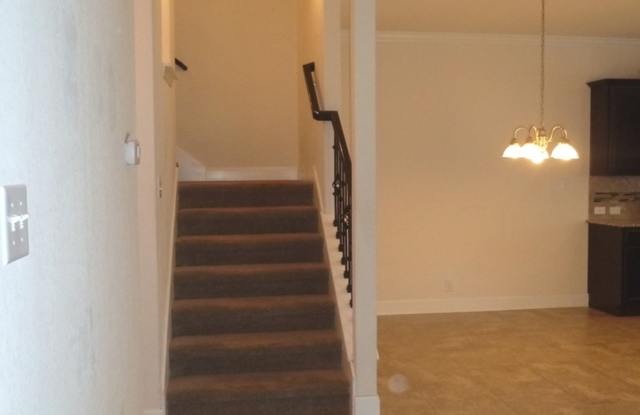 23830 Stately Oaks Gallery 3