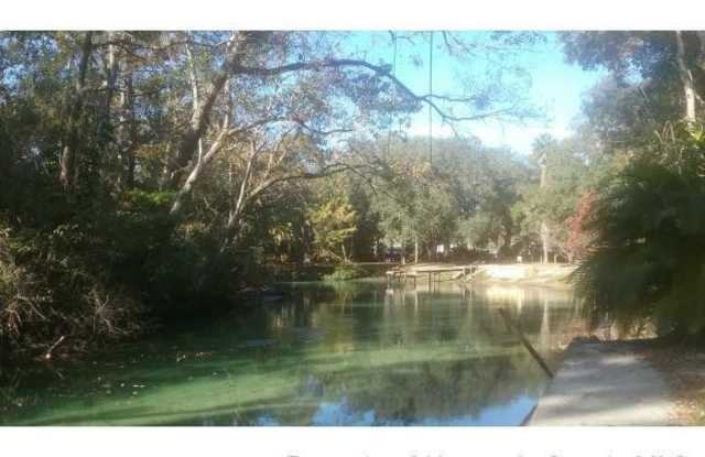 6100 Bear Trail Gallery 3