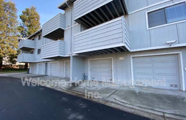 173 Mohave Common Gallery 1