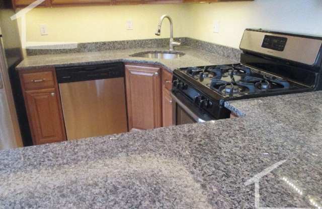 Nicely renovated 3 bed in Brookline Village! photos photos