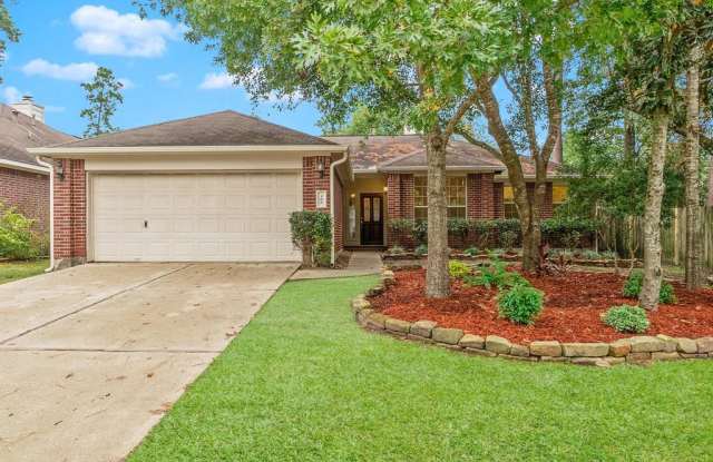 166 Merryweather Place - 166 Merryweather Place, The Woodlands, TX 77384