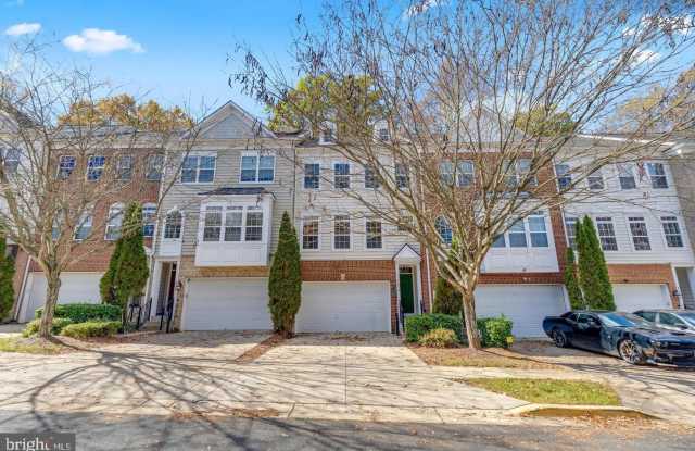 626 TAILGATE TER photos photos