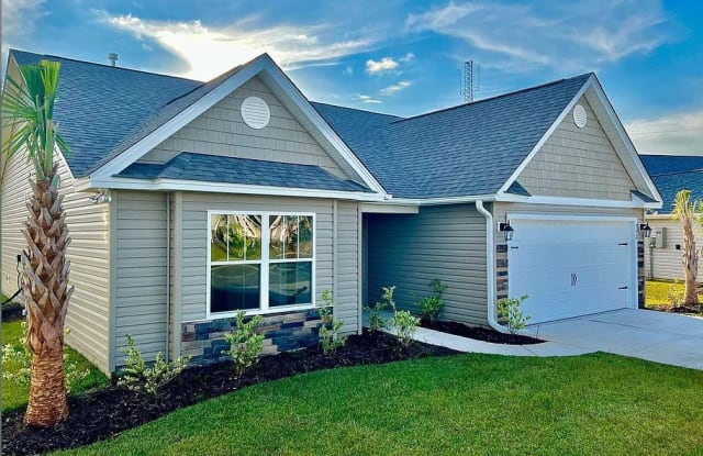 232 Sage Circle - 232 Sage Circle, Horry County, SC 29566