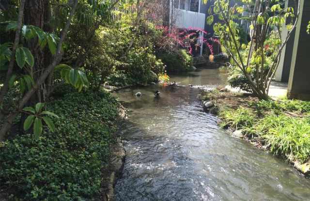 25423 Pine Creek Lane Gallery 3