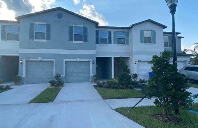 4546 Globe Thistle Dr - 4546 Globe Thistle Dr, Palm River-Clair Mel, FL 33619
