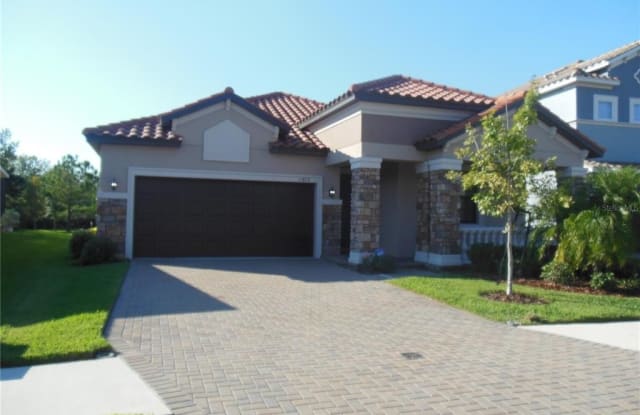 11812 FROST ASTER DRIVE - 11812 Frost Aster Drive, Riverview, FL 33579
