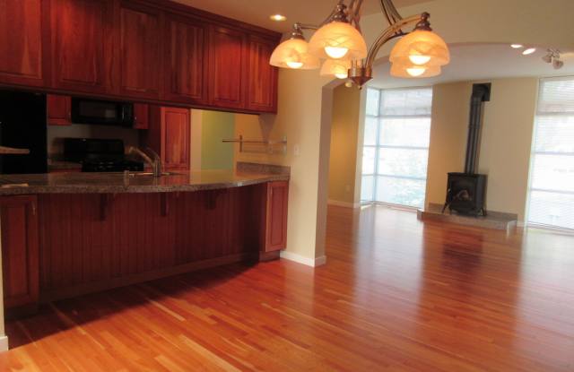 Downtown Condo Gallery 2