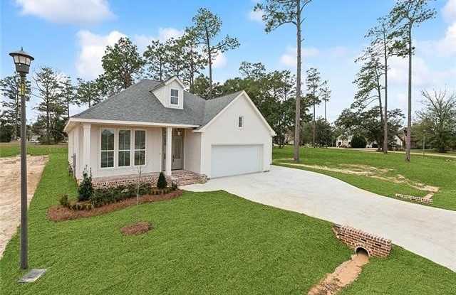 245 BALD EAGLE Drive photos photos