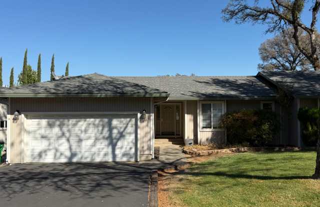 Single story newly remodeled home on the golf course in Lake of the Pines! Huge yard! Gallery 1