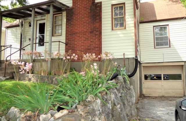 1509 E. Walnut Street - 1509 East Walnut Street, Columbia, MO 65201