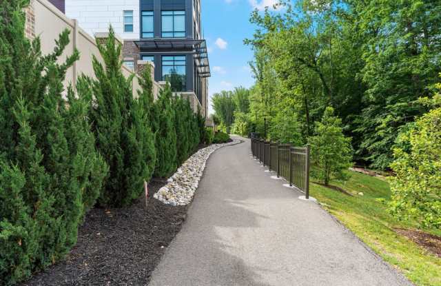 Lerner Black Hill photos photos