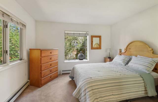 Nicely Furnished McCloud Condo Gallery 4