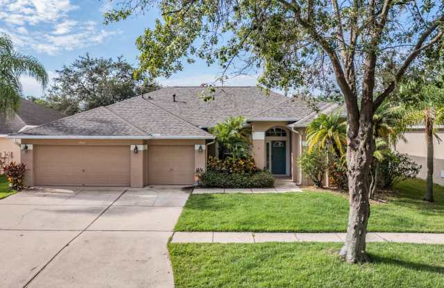 10045 Remington Dr - 10045 Remington Drive, Riverview, FL 33578