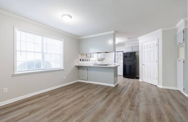 3 Bedroom/2 Bath Home in Remerton - 1602 Spring Meadow Circle, Remerton, GA 31601