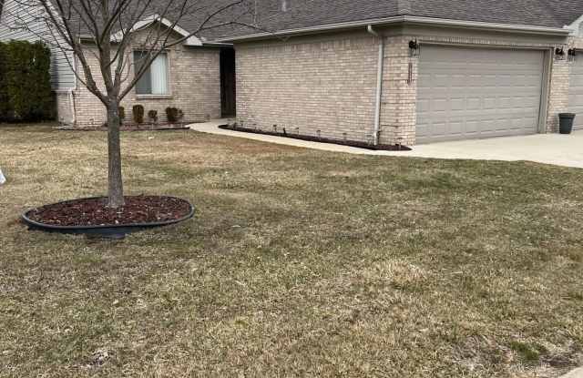 16123 Blue Spruce photos photos