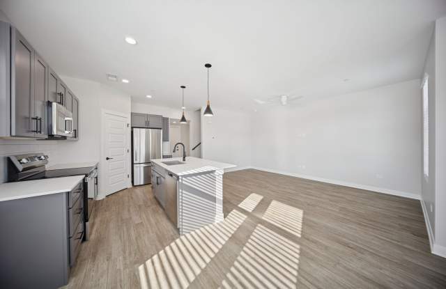 Area Gallery 3