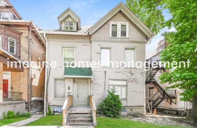 241 Amber Street photos photos
